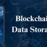 The Storage of Blockchain Data